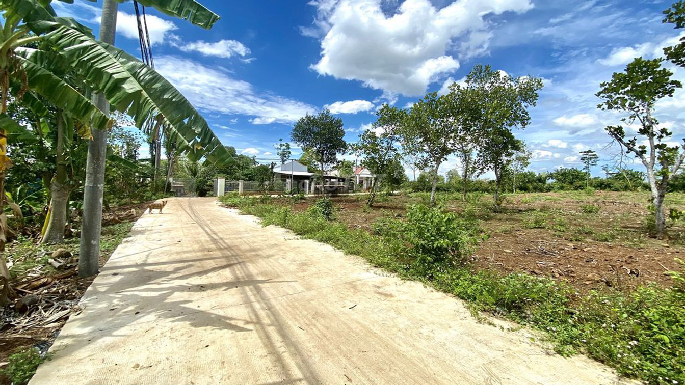 Bán đất Hàng Gòn Long Khánh 1.100m2 có 100m2 thổ cư, có sẵn vườn trái cây