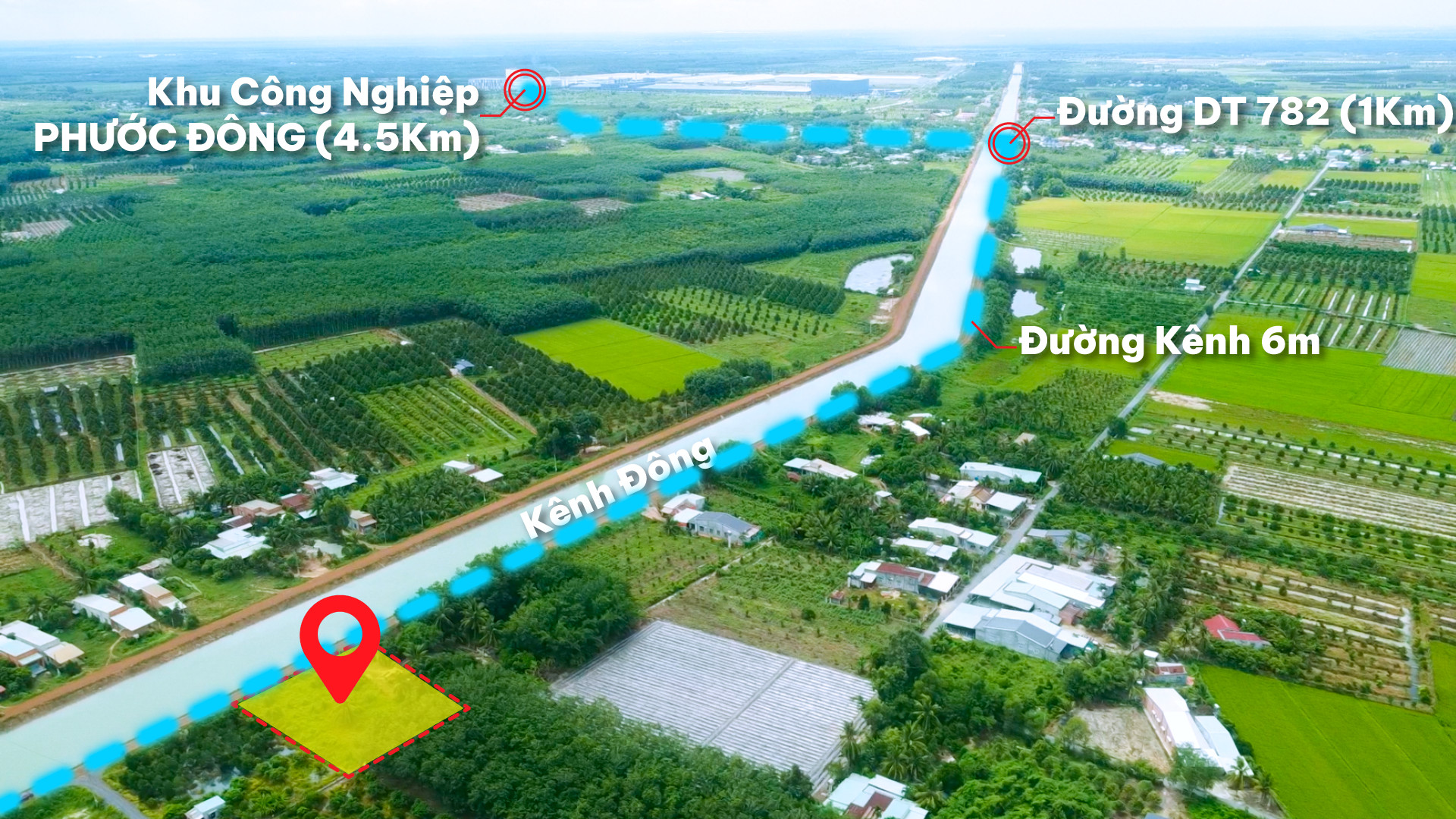 Chủ đất NGỘP bán đất Gò Dầu Tây Ninh ngay khu Công nghiệp Phước Đông, mặt tiền Kênh Đông DT 185m2, đất thổ cư. Giá 499 triệu
